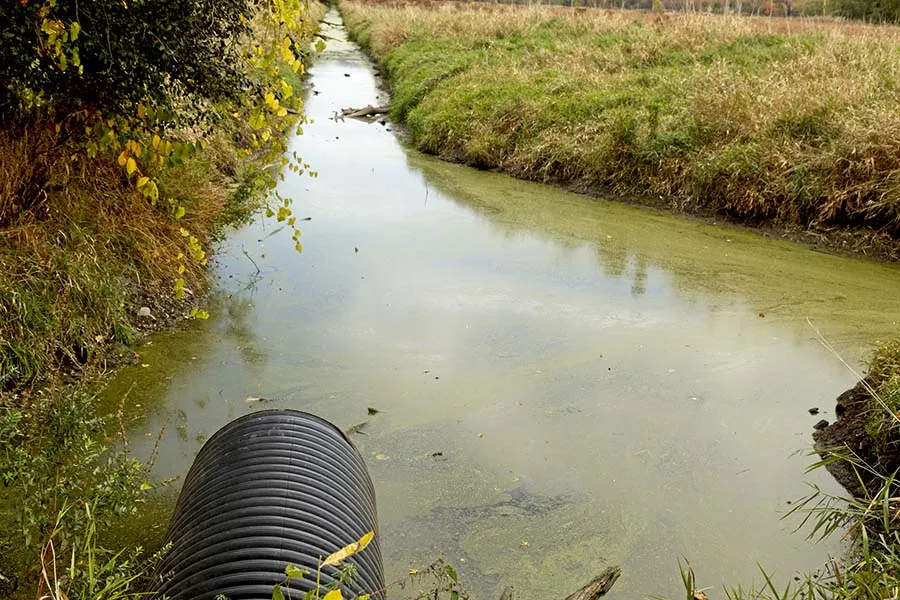 Water overflow draining from farmer’s field. 
